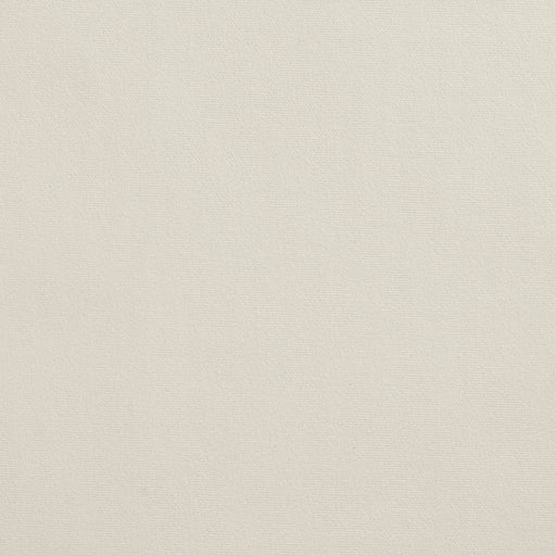 Charlotte - 2223 - Ivory - Fabric by the Yard Ivory