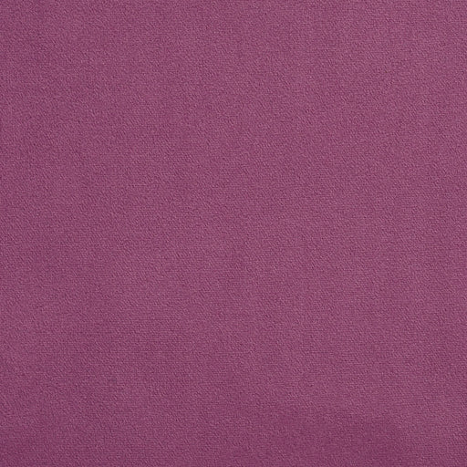 Charlotte - 2225 - Lavender - Fabric by the Yard Lavender