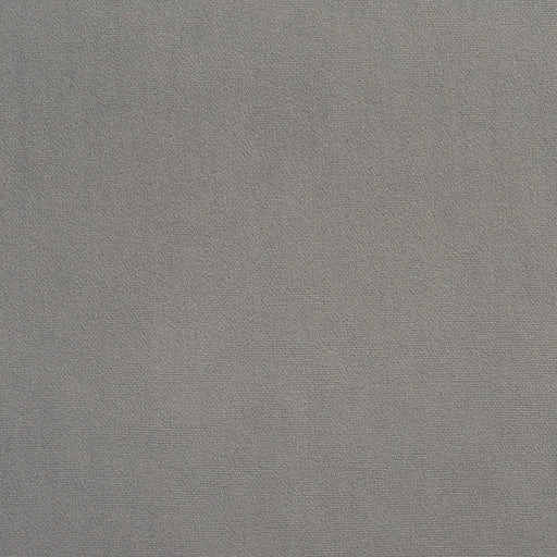 Charlotte - 2232 - Dolphin - Fabric by the Yard Dolphin