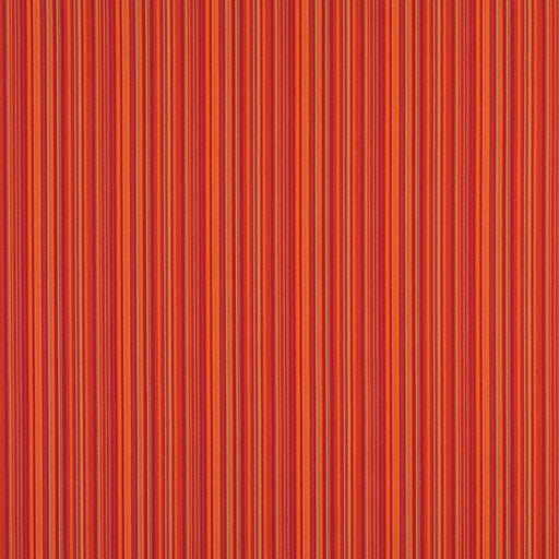 Charlotte - 2466 - Fiesta - Fabric by the Yard Fiesta