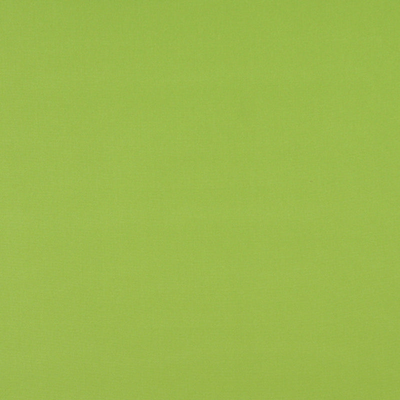 Charlotte - 2469 - Lime - Fabric by the Yard Lime