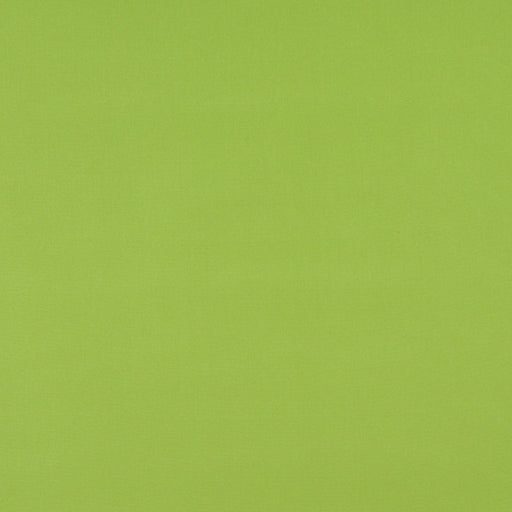 Charlotte - 2469 - Lime - Fabric by the Yard Lime