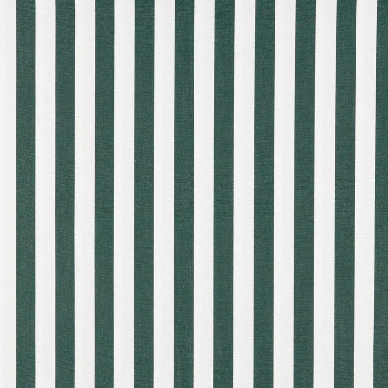 Charlotte - 2488 - Forest Canopy - Fabric by the Yard Forest Canopy