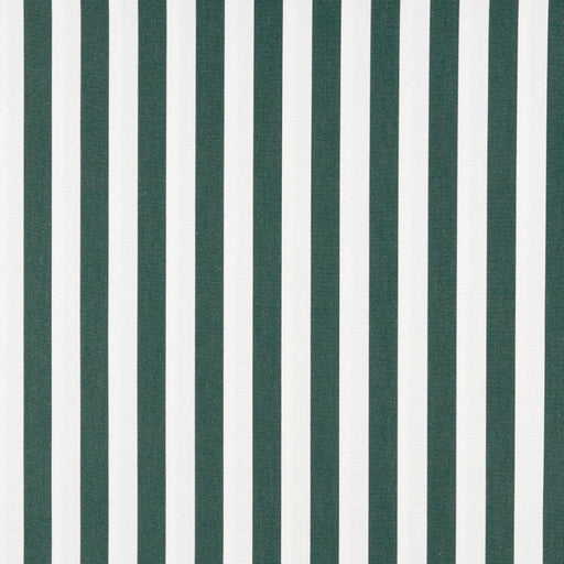 Charlotte - 2488 - Forest Canopy - Fabric by the Yard Forest Canopy