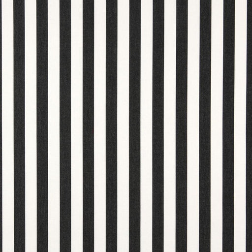 Charlotte - 2489 - Midnight Canopy - Fabric by the Yard Midnight Canopy