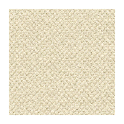 KRAVET DESIGN - KRAVET DESIGN- 25807-1116 - Fabric by the Yard 25807-1116