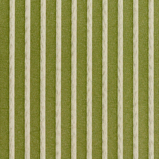 Charlotte - 2613 - Fern/Stripe - Fabric by the Yard Fern/Stripe