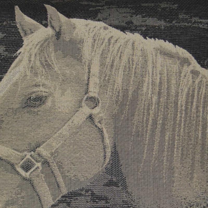 Mister Ed - Black - DV Kap - Fabric by the Yard