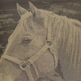 Mister Ed - Brown - DV Kap - Fabric by the Yard