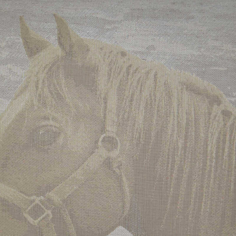 Mister Ed - Ivory - DV Kap - Fabric by the Yard