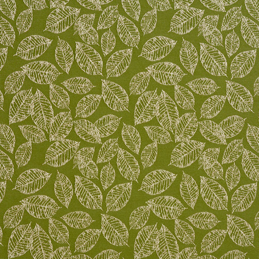 Charlotte - 2622 - Fern/Leaf - Fabric by the Yard Fern/Leaf