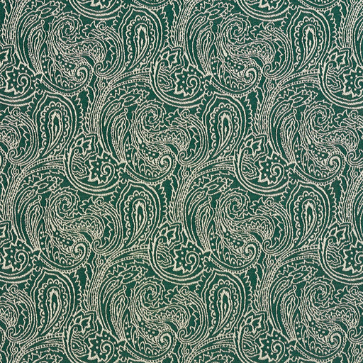 Charlotte - 2628 - Alpine/Paisley - Fabric by the Yard Alpine/Paisley