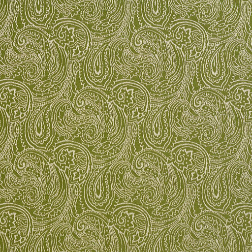 Charlotte - 2631 - Fern/Paisley - Fabric by the Yard Fern/Paisley