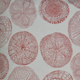 Sand Dollar - Red - DV Kap - Fabric by the Yard