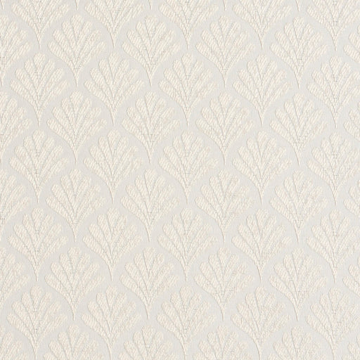 Charlotte - 2656 - Oyster/Fan - Fabric by the Yard Oyster/Fan