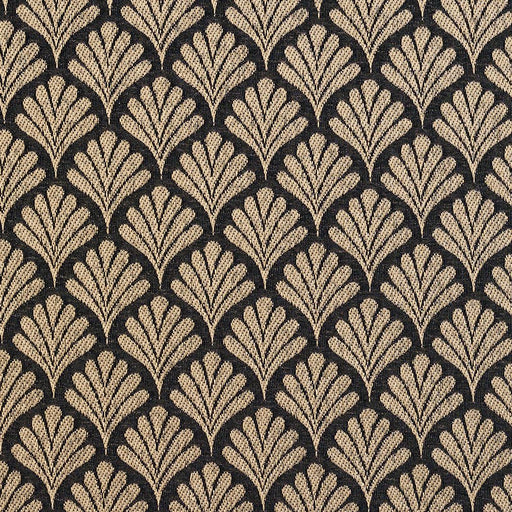 Charlotte - 2660 - Onyx/Fan - Fabric by the Yard Onyx/Fan