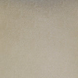 Whimsical - Ivory - DV Kap - Fabric by the Yard