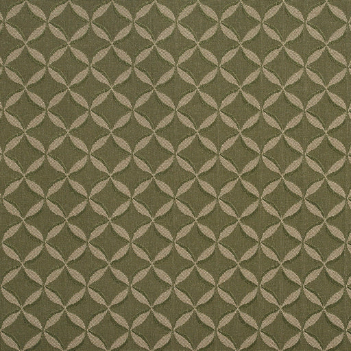 Charlotte - 2764 - Sage - Fabric by the Yard Sage