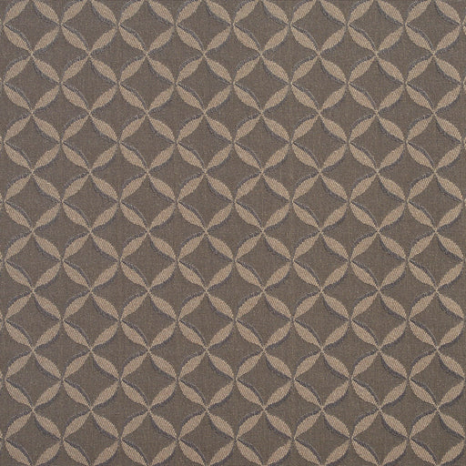 Charlotte - 2765 - Taupe - Fabric by the Yard Taupe