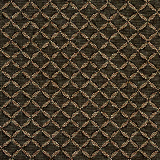 Charlotte - 2766 - Ebony - Fabric by the Yard Ebony