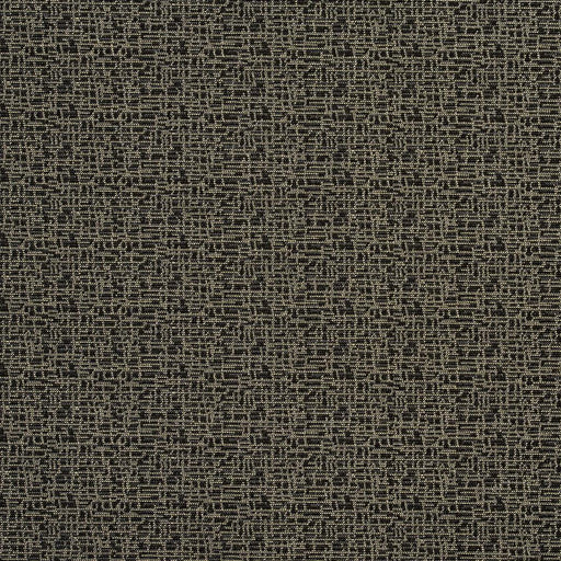 Charlotte - 2780 - Pepper - Fabric by the Yard Pepper