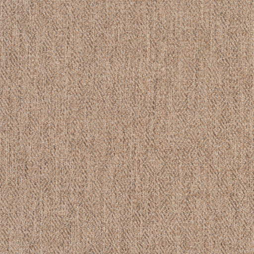 Charlotte - 2914 - Sandstone - Fabric by the Yard Sandstone
