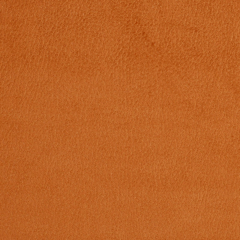 Charlotte - 2920 - Apricot - Fabric by the Yard Apricot
