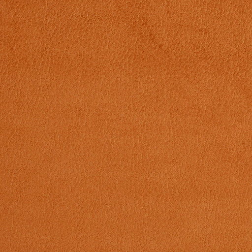 Charlotte - 2920 - Apricot - Fabric by the Yard Apricot
