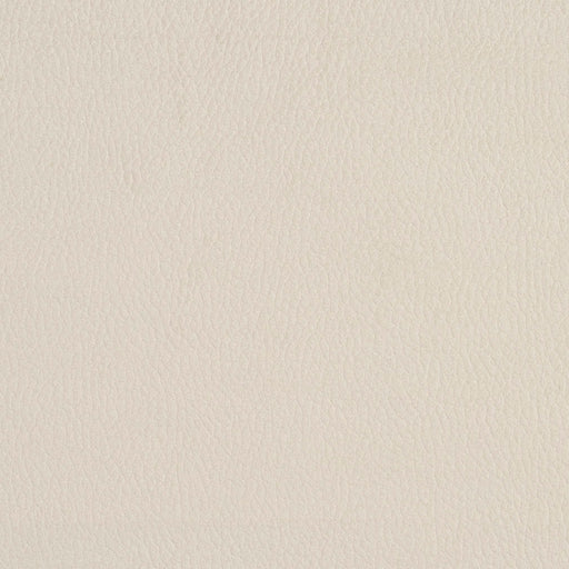 Charlotte - 2922 - Eggshell - Fabric by the Yard Eggshell