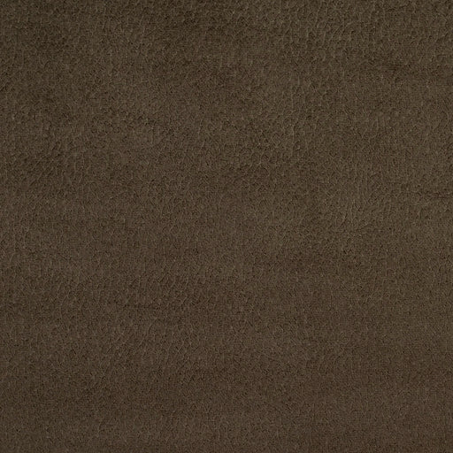 Charlotte - 2925 - Charcoal - Fabric by the Yard Charcoal