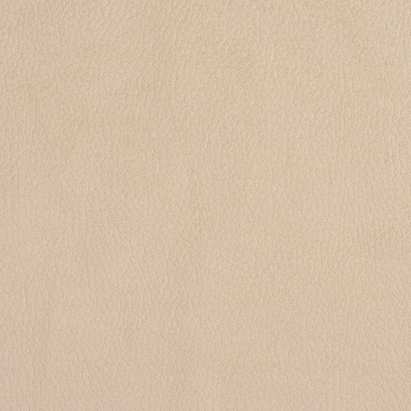 Charlotte - 2926 - Ecru - Fabric by the Yard Ecru