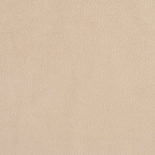 Charlotte - 2926 - Ecru - Fabric by the Yard Ecru