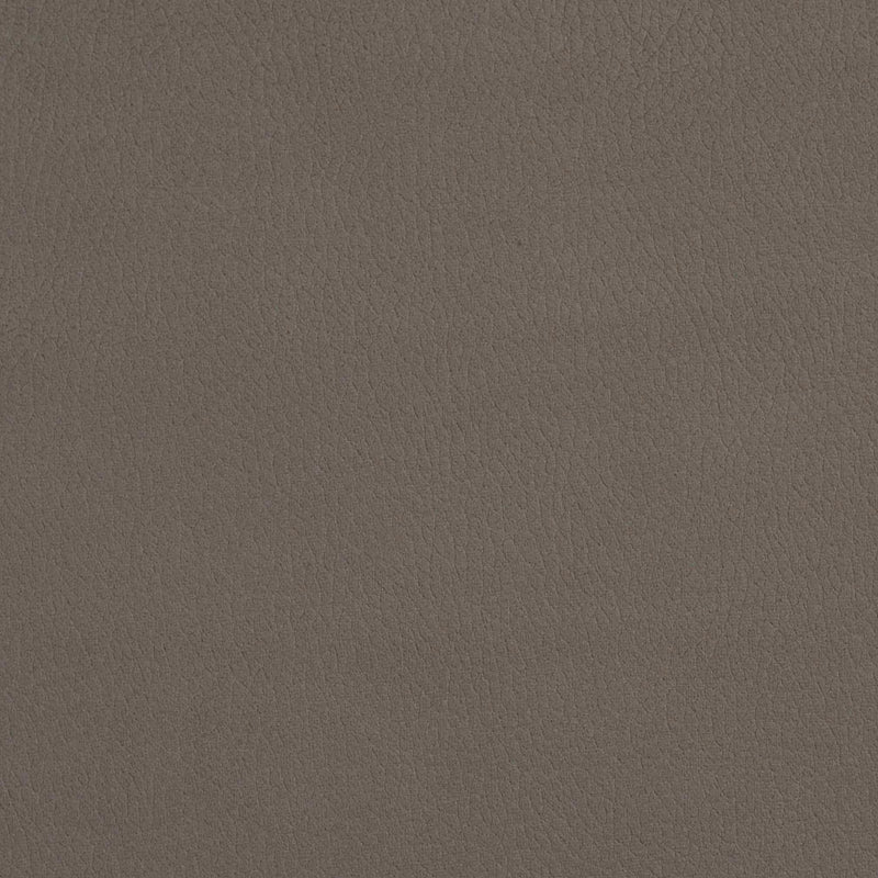 Charlotte - 2927 - Moonstone - Fabric by the Yard Moonstone