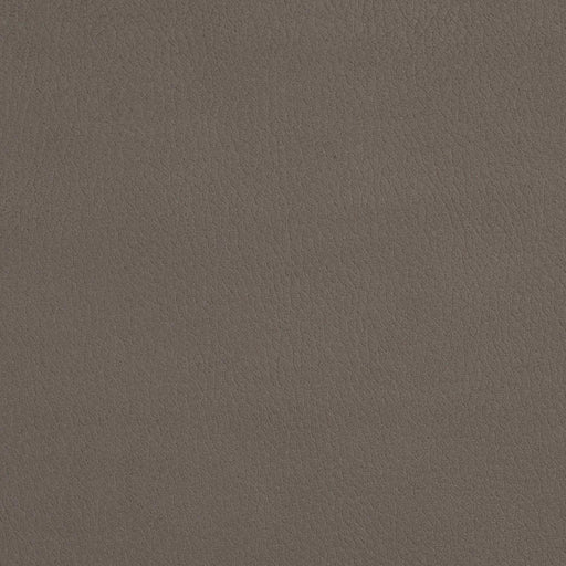 Charlotte - 2927 - Moonstone - Fabric by the Yard Moonstone