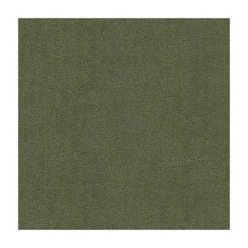 KRAVET DESIGN - KRAVET DESIGN- 29431-30 - Fabric by the Yard 29431-30