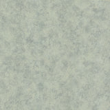 Maxwell - FENTON (WP) - 2 - Wallcovering by the 11 Yard Roll