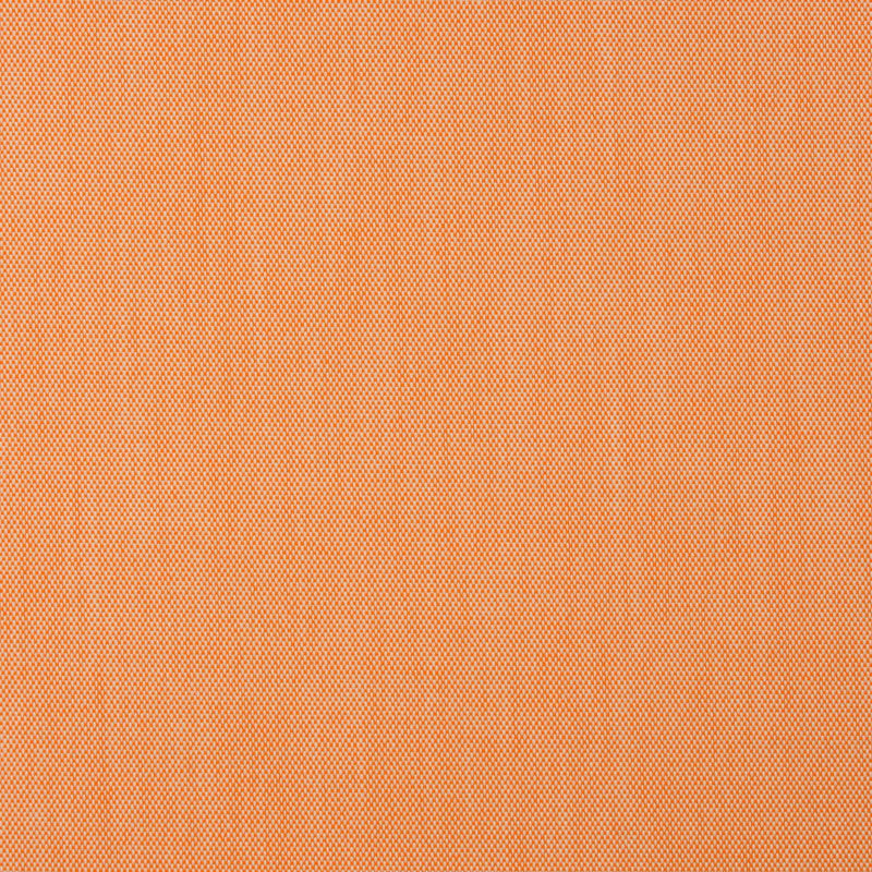 Charlotte - 30010-06 - Fabric by the Yard 30010-06