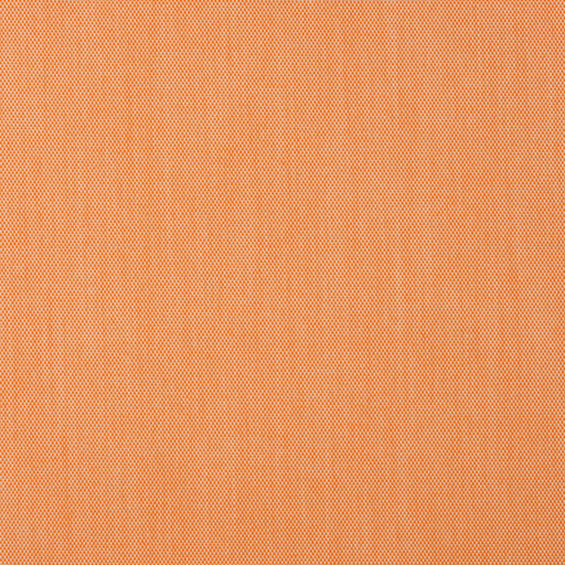 Charlotte - 30010-06 - Fabric by the Yard 30010-06