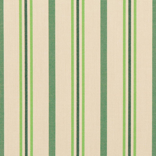 Charlotte - 30020-02 - Fabric by the Yard 30020-02