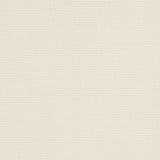 Charlotte - 30030-04 - Fabric by the Yard