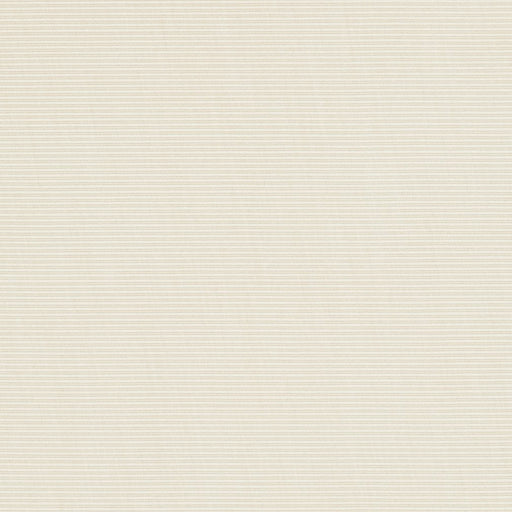 Charlotte - 30030-04 - Fabric by the Yard 30030-04