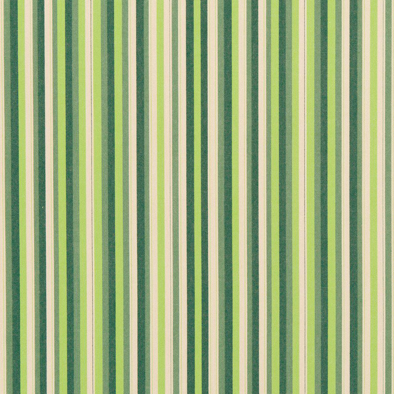 Charlotte - 30040-01 - Fabric by the Yard 30040-01