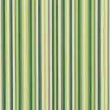 Charlotte - 30040-01 - Fabric by the Yard