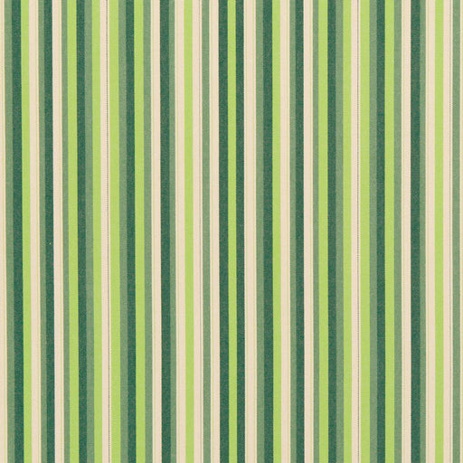 Charlotte - 30040-01 - Fabric by the Yard 30040-01