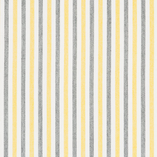 Charlotte - 30070-03 - Fabric by the Yard 30070-03