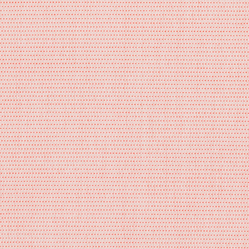 Charlotte - 30070-07 - Fabric by the Yard 30070-07