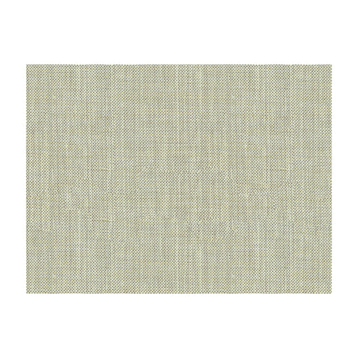 KRAVET BASICS - KRAVET BASICS- 30299-2111 - Fabric by the Yard 30299-2111