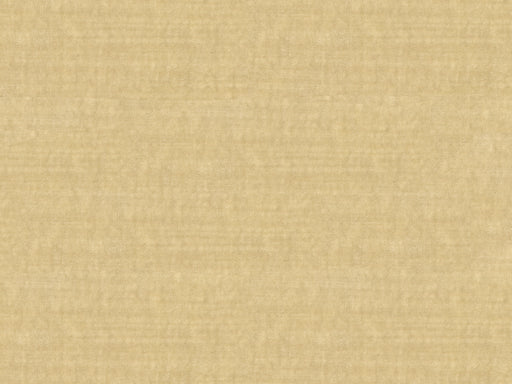 KRAVET COUTURE - KRAVET COUTURE- 30356-111 - Fabric by the Yard 30356-111