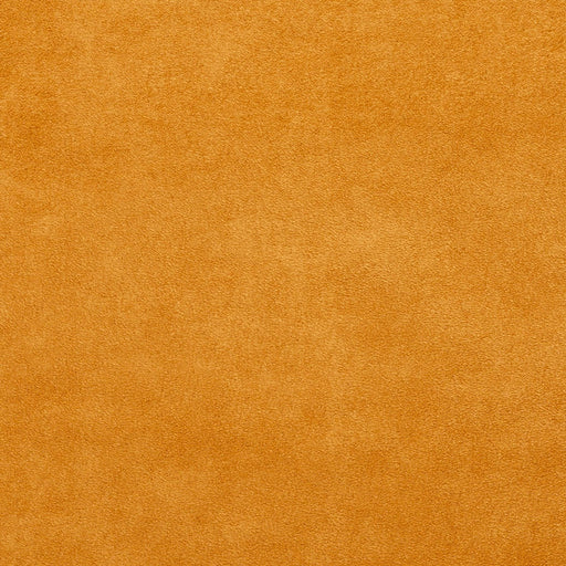 Charlotte - 3060 - Cashew - Fabric by the Yard Cashew