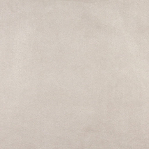 Charlotte - 3074 - Pearl - Fabric by the Yard Pearl